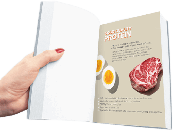 image of hand holding guide book
